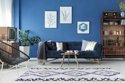 Shag Rug Boho 4x6 White and Blue Area Carpet