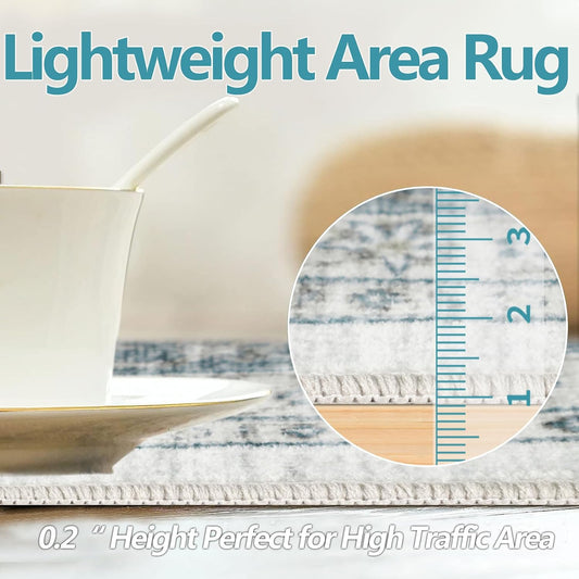 Persian Rug Living Room and Bedroom