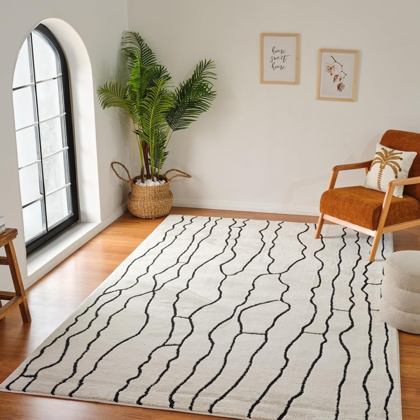 Boho Rug 4x6 High Quality White and Black Area Rug