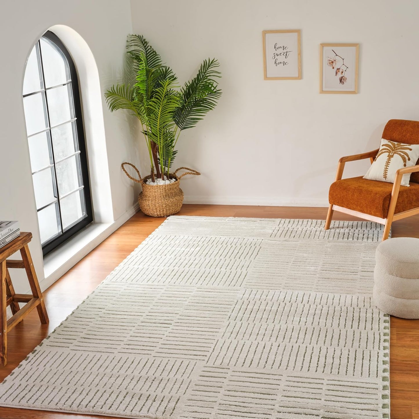 Boho Rug 4x6 High Quality Traditional White and Green Area Rug