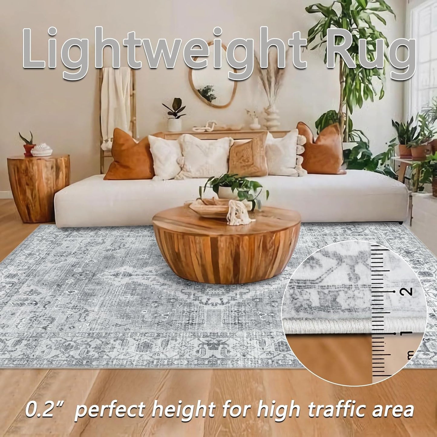 Persian Rug Living Room and Bedroom