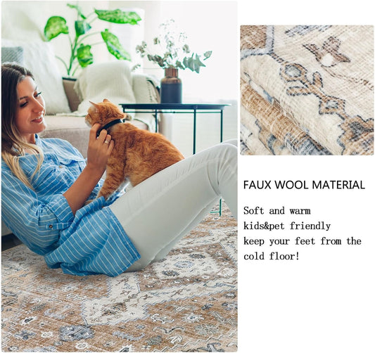 Persian Rug Living Room and Bedroom