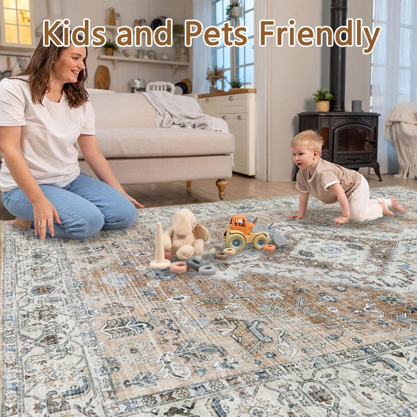 Persian Rug Living Room and Bedroom