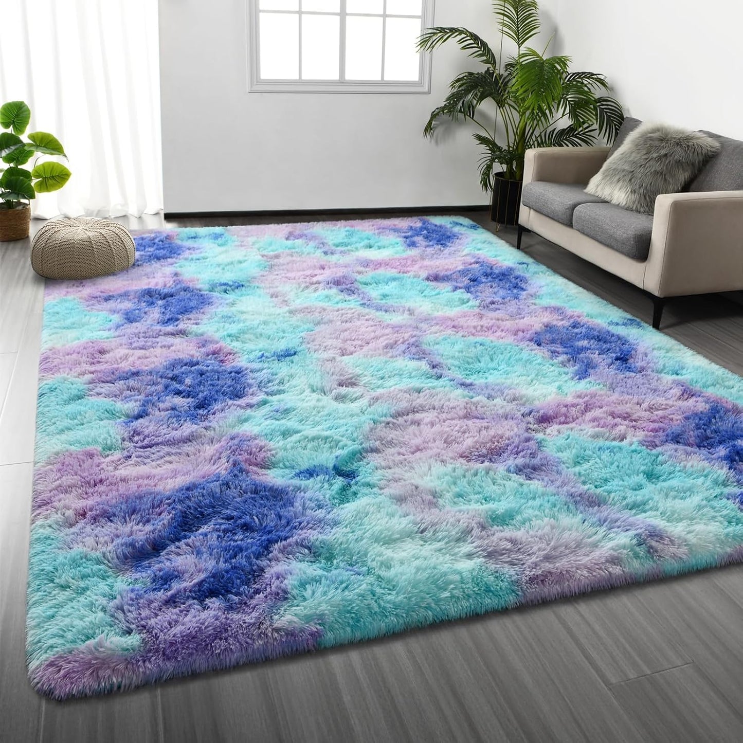 Area Rug Multicolor Shag