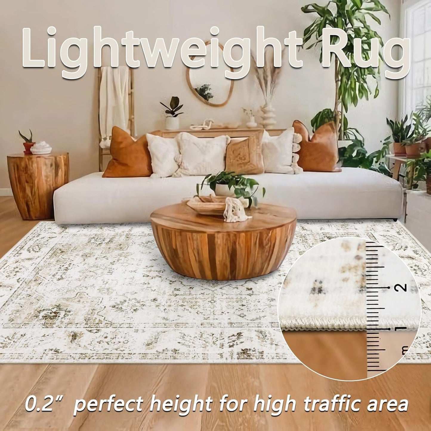 Persian Rug Living Room and Bedroom