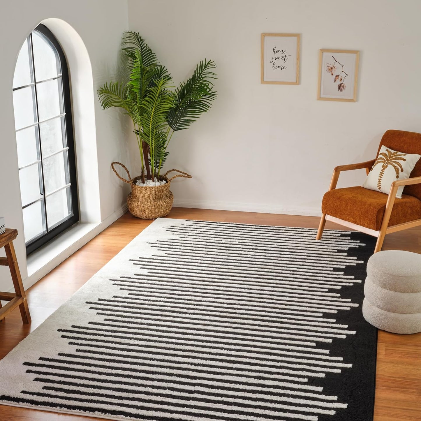 Boho Rug 4x6 High Quality Black and White Area Rug