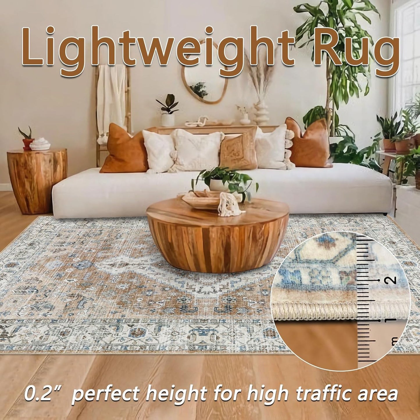 Persian Rug Living Room and Bedroom
