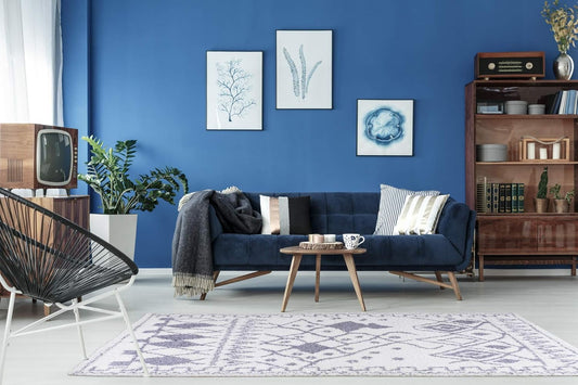 Shag Rug Boho 5x7 Traditional White and Grey Area Carpet