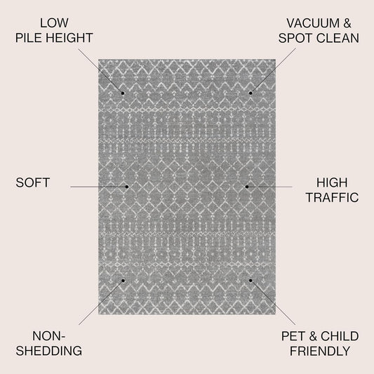 Bohemian Rug Classic 4x6 Grey and White Area Carpet