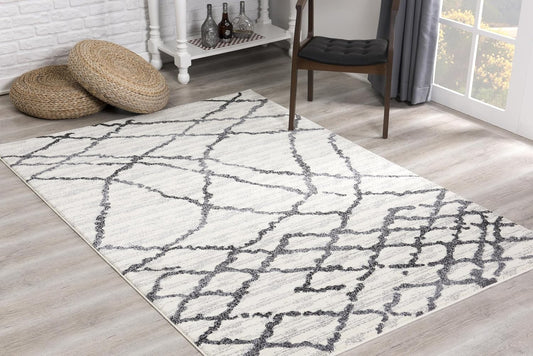 Modern Abstract Rug 4x6 White Grey Boho Modern  Living Room Kitchen and Bedroom Area Rug
