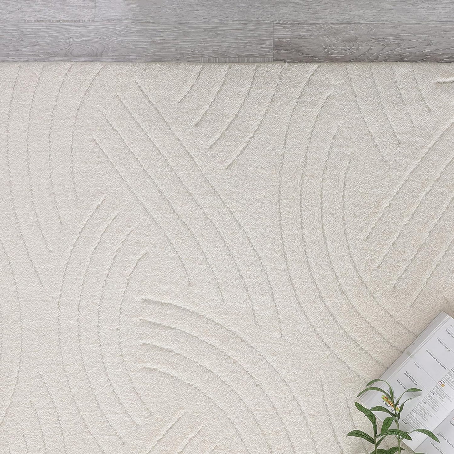 Agora Collection Plush Shag Rug 5x7 White Boho Wavy