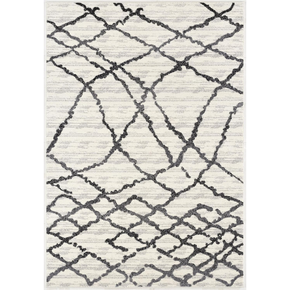 Modern Abstract Rug 4x6 White Grey Boho Modern Living Room Kitchen and Bedroom Area Rug