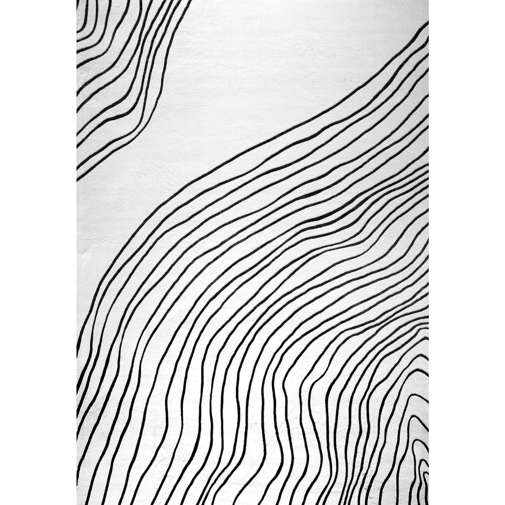 Artist Collection - Area Rug Boho White Black Living Room Rug - brch-00107