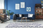 Shag Rug Boho 4x6 White and Blue Area Carpet