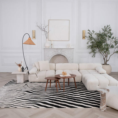 Boho Rug 4x6 High Quality Zebra White and Black Area Rug