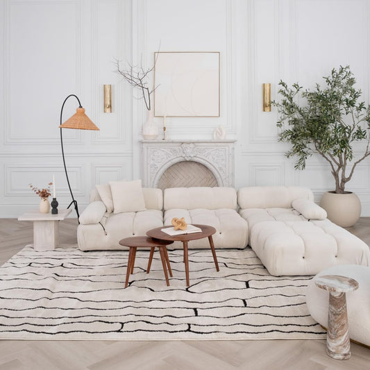 Boho Rug 4x6 High Quality White and Black Area Rug