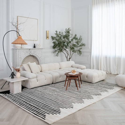 Boho Rug 4x6 High Quality Black and White Area Rug