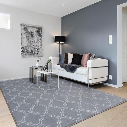 Grey And White Area Rug