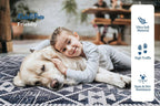 Modern Rug 5x7 Thin Beige and Blue Machine Washable Area Rug