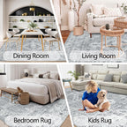 Persian Rug Living Room and Bedroom