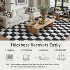 Checkerd Shag Rug