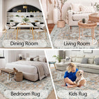 Persian Rug Living Room and Bedroom