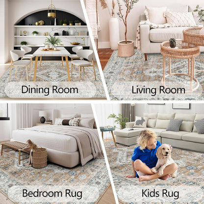 Persian Rug Living Room and Bedroom