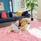 Rugsco Shag Rug Selection, Fluffy, Cozy & Machine Washable - rgc003
