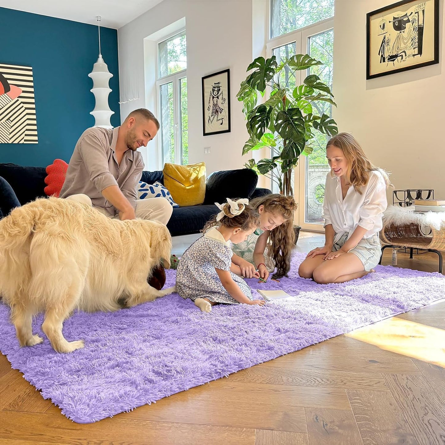 Rugsco Shag Rug Selection, Fluffy, Cozy & Machine Washable - rgc003