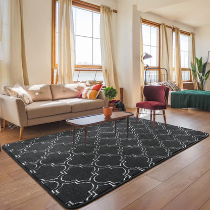 Black And White Area Rug