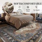 Persian Rug Living Room and Bedroom
