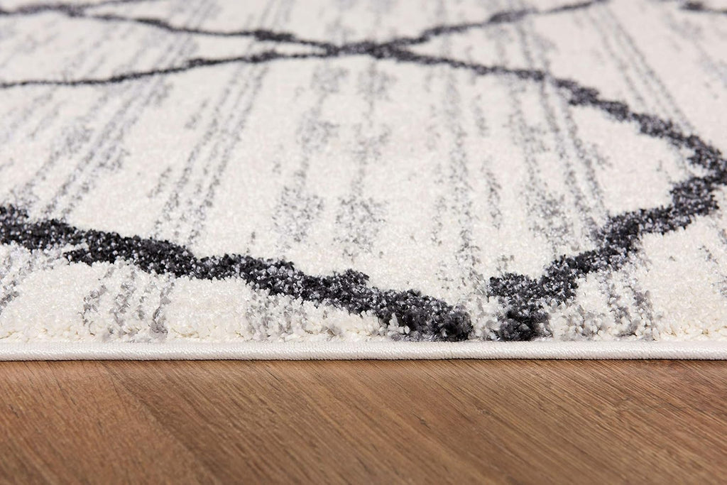 Modern Abstract Rug 4x6 White Grey Boho Modern  Living Room Kitchen and Bedroom Area Rug