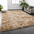 Area Rug Beige Shag
