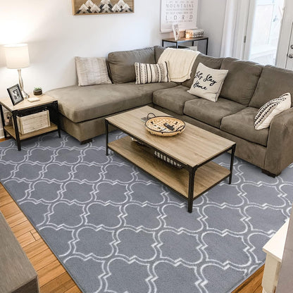 Grey And White Area Rug