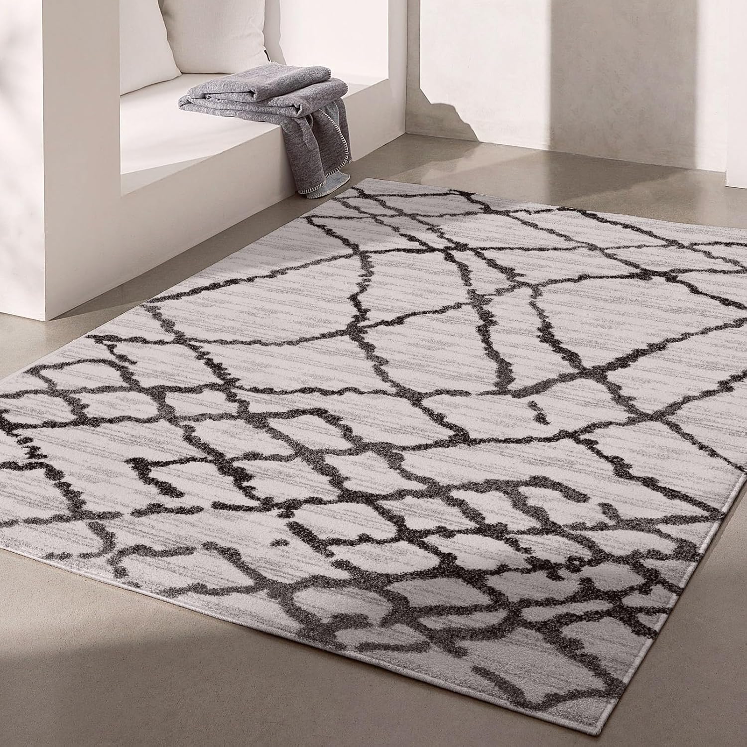 Modern Abstract Rug 4x6 White Grey Boho Modern  Living Room Kitchen and Bedroom Area Rug