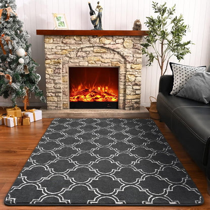 Black And White Area Rug