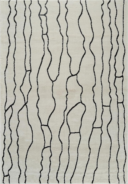 Boho Rug 4x6 High Quality White and Black Area Rug