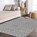 Bohemian Rug Classic 4x6 Grey and White Area Carpet