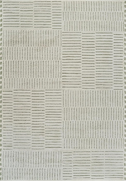 Boho Rug 4x6 High Quality Traditional White and Green Area Rug