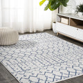 Bohemian Rug Classic 4x6 White and Blue Area Carpet