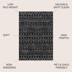 Bohemian Rug Classic 4x6 Black and White Area Carpet