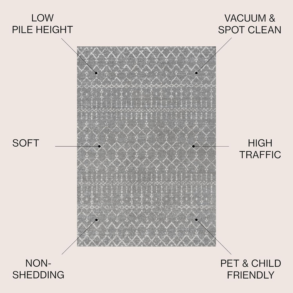 Bohemian Rug Classic 4x6 Grey and White Area Carpet
