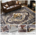 Persian Rug Living Room and Bedroom
