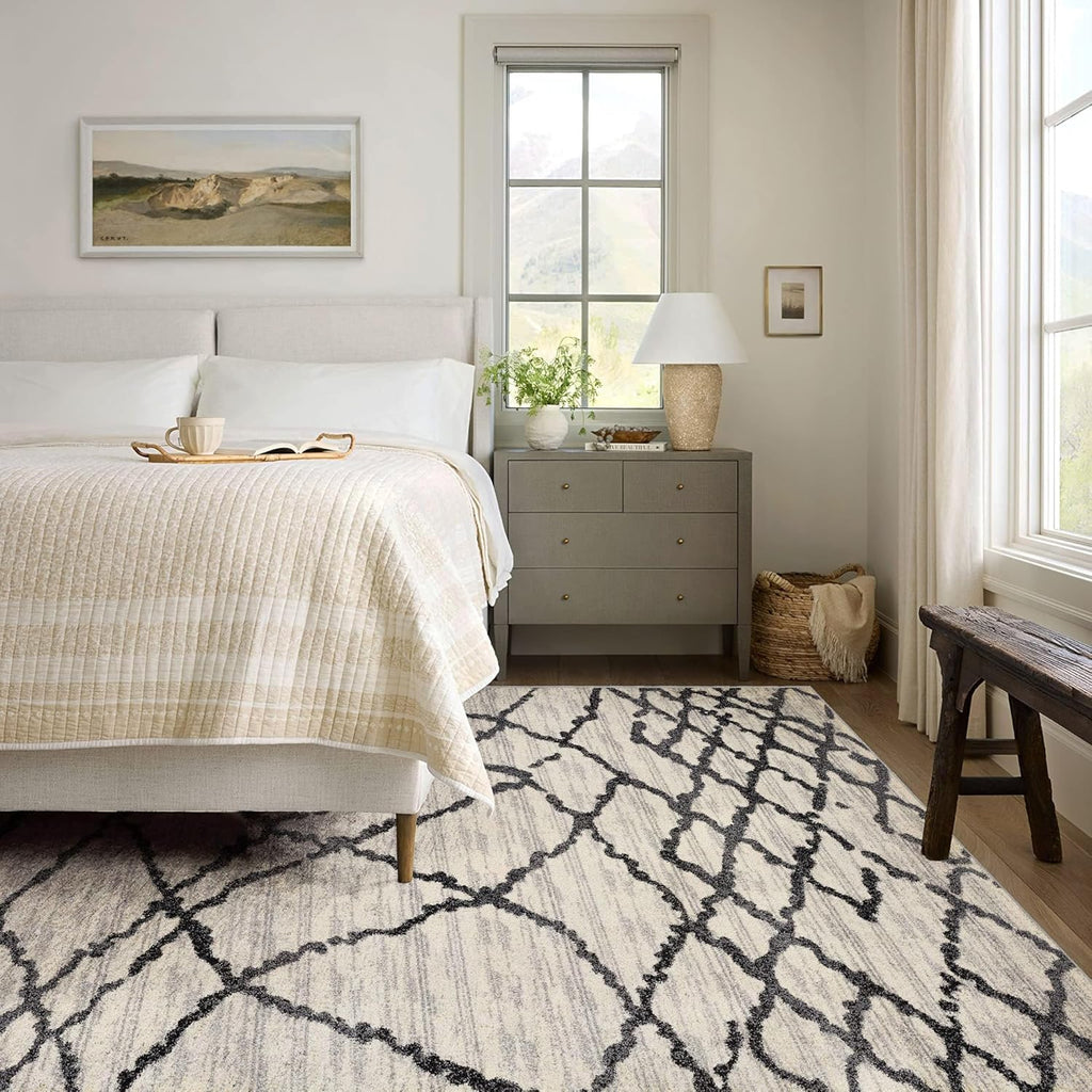 Modern Abstract Rug 4x6 White Grey Boho Modern  Living Room Kitchen and Bedroom Area Rug