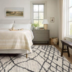 Modern Abstract Rug 4x6 White Grey Boho Modern  Living Room Kitchen and Bedroom Area Rug