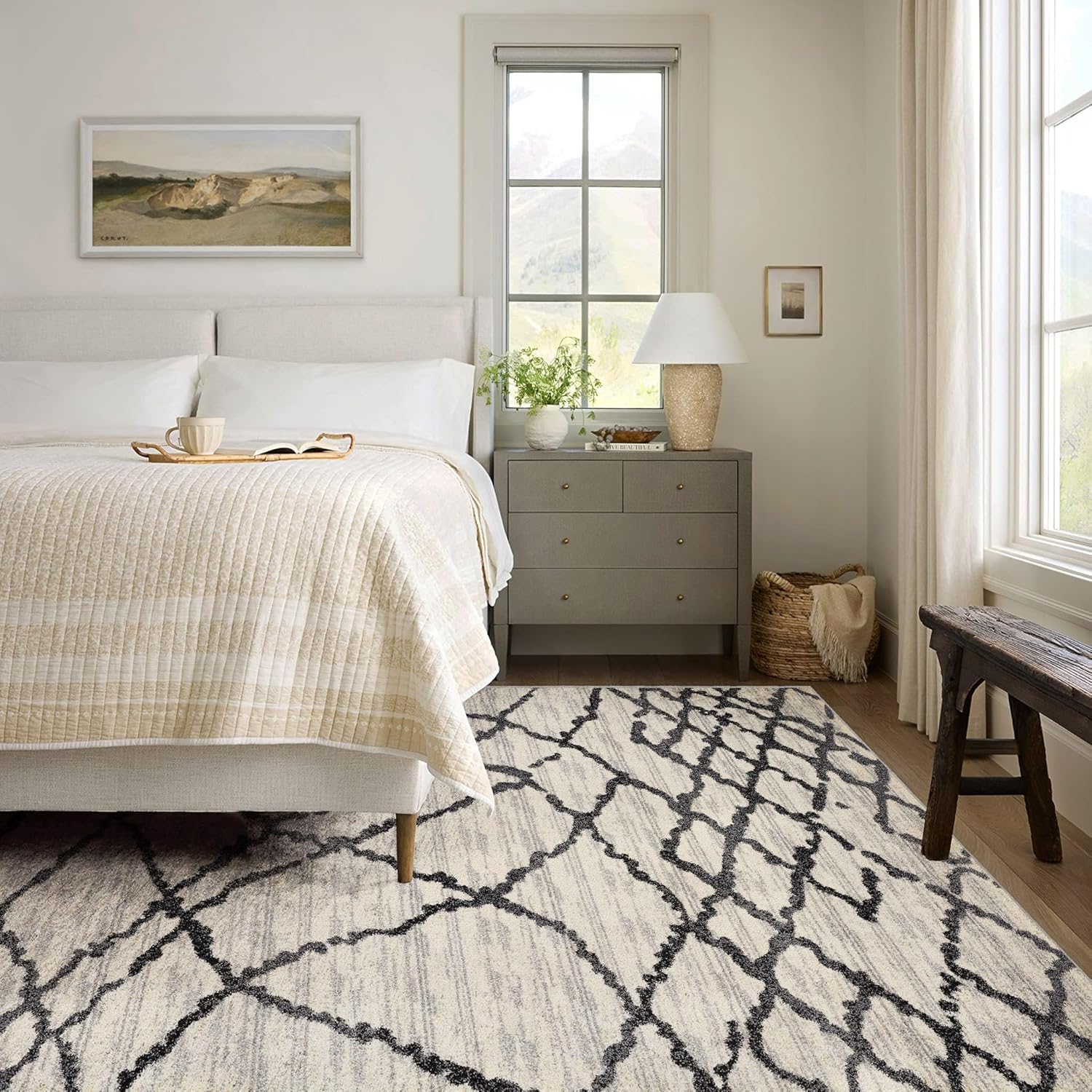 Modern Abstract Rug 4x6 White Grey Boho Modern  Living Room Kitchen and Bedroom Area Rug