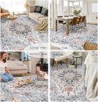 Persian Rug Living Room and Bedroom