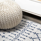 Bohemian Rug Classic 4x6 White and Blue Area Carpet