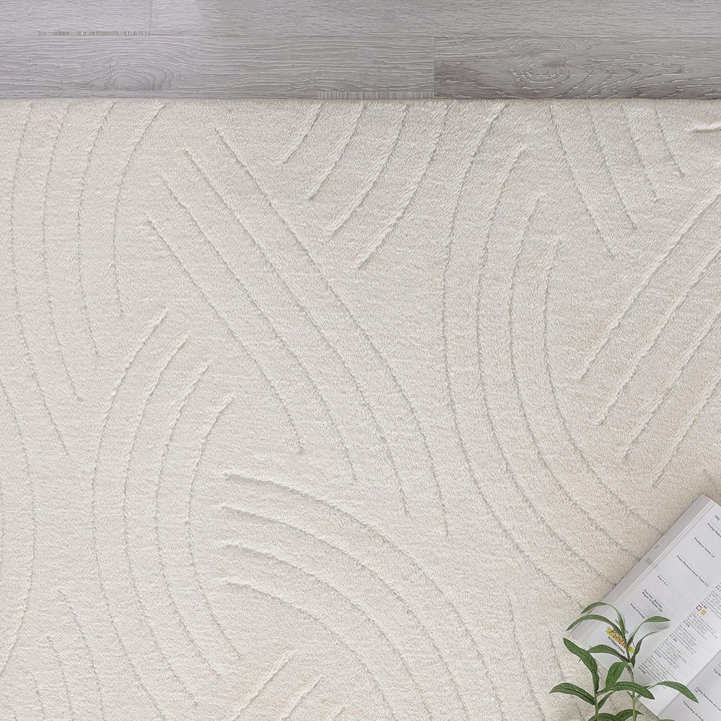 Agora Collection Plush Shag Rug 5x7 White Boho Wavy