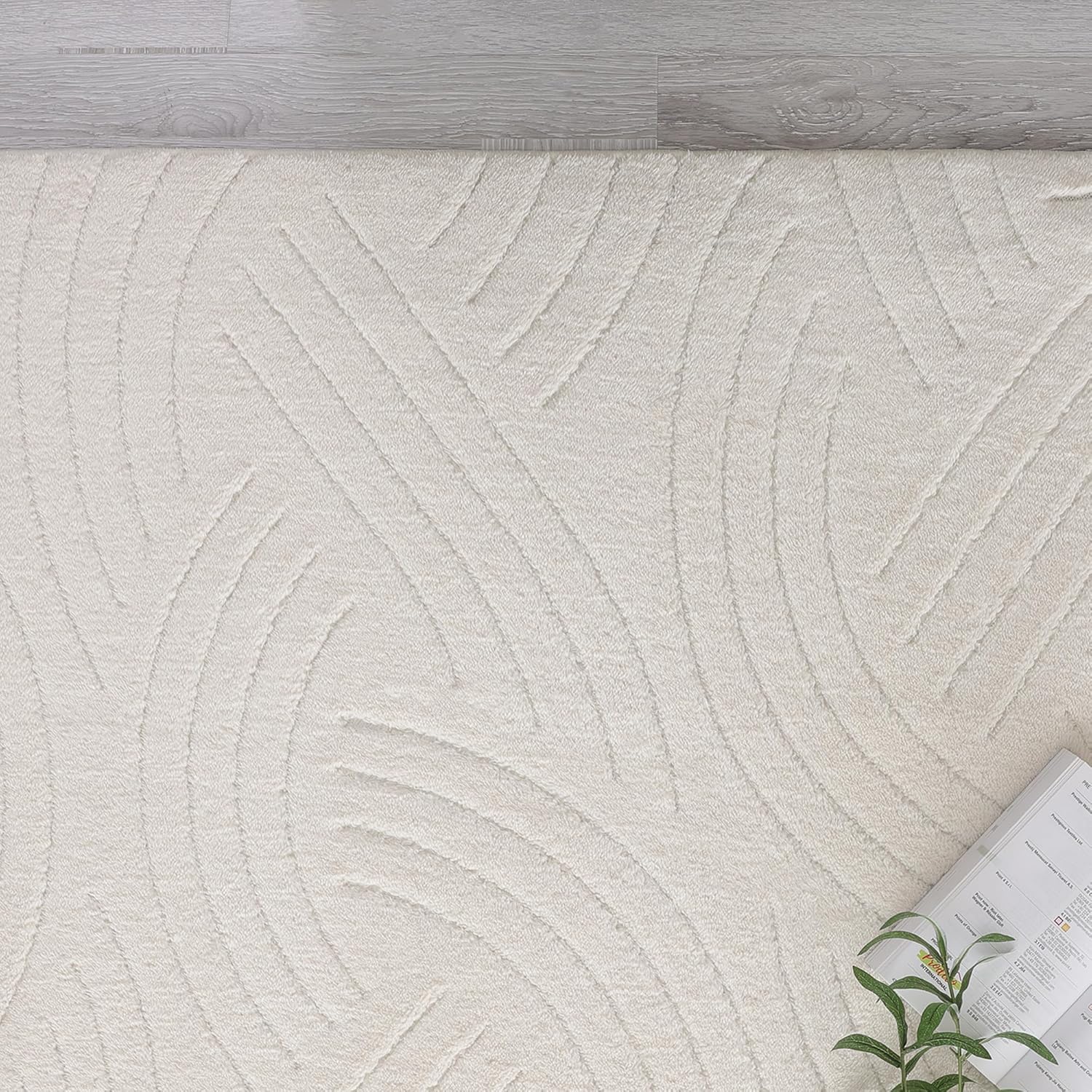 Agora Collection Plush Shag Rug 5x7 White Boho Wavy